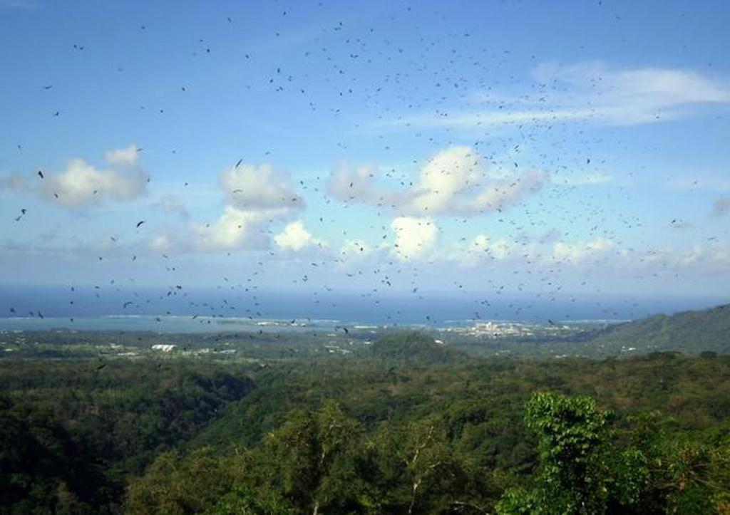 阿皮亚戴夫帕克生态旅馆别墅 外观 照片