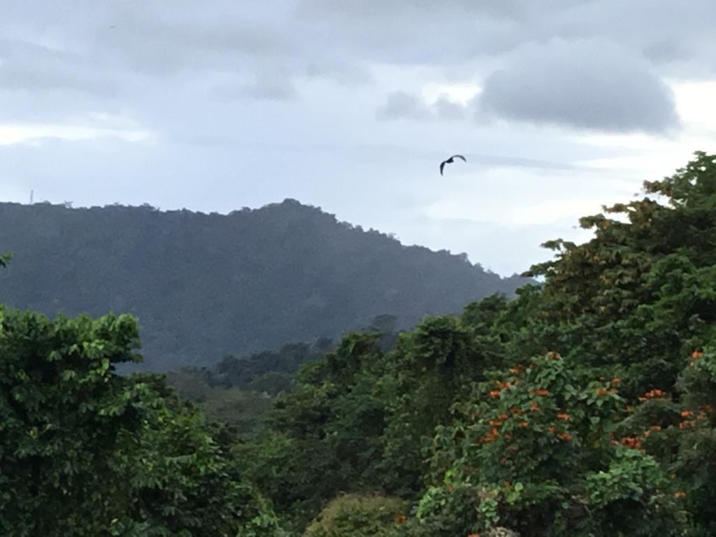 阿皮亚戴夫帕克生态旅馆别墅 外观 照片